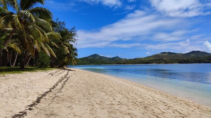 The green palm trees and mangroves along the turquoise Pacific Ocean at a paradise island in Fiji