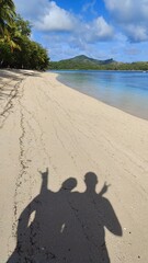 The green palm trees and mangroves along the turquoise Pacific Ocean at a paradise island in Fiji