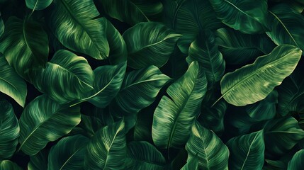 Tropical Lush Green Leaf Background: Nature's Opulent Texture