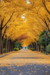 autumn scene of an old tree lined road covered in yellow leave