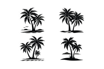 palm trees on a beach