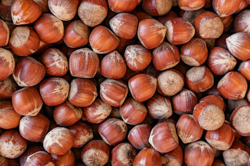 arrière plan en transparence, tapis de grosses noisettes bien grosses, aux couleurs automnales réconfortantes, png, aliment, récolte du marché