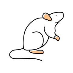 lab rat genetic engineering color icon vector. lab rat genetic engineering sign. isolated symbol illustration