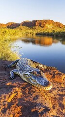 Fototapeta premium Crocodile Basking on Rock Near River and Cliffs