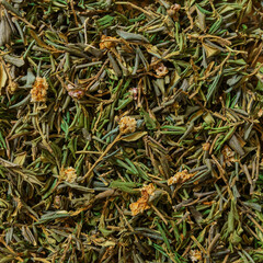Dried Thyme Leaves are ideal for Culinary Use, perfect for Cooking and Seasoning dishes