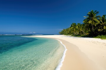 Vacation spot concept with sandy beach and relaxing wave. Tropical beach with clear water and palm trees under a blue sky