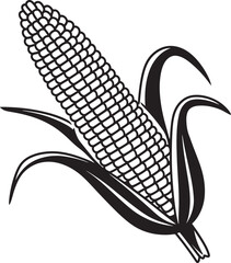 A black and white line drawing of a long ear of corn or maize vector with clean & minimalistic lines illustration