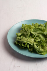 cucumber lettuce ingredient harvest fresh herbal salad garden summer organic herb farming fresh leaf