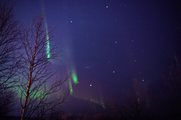 Aurora borealis, polar lights with Milky Way stars.