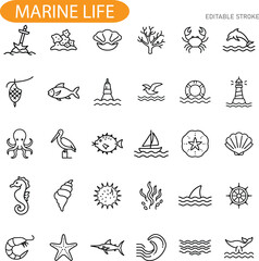 Ocean Life Icons Marine Animals, Shells, and Nautical Symbols