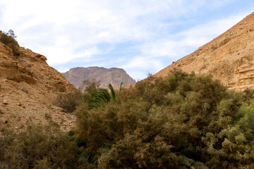 Wadi Arugot National Park is a desolate rocky landscape