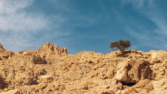 Wadi Arugot National Park is a desolate rocky landscape