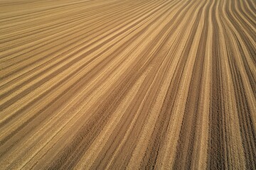 Plowed field texture with parallel lines and warm tones