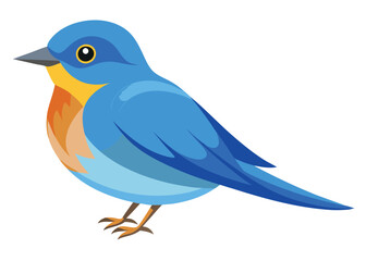 bluebird-on-white-background (1).eps