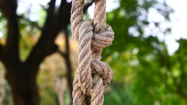 Large white nylon ropes tied into knots to connect trees.