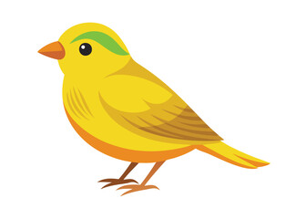 canary-on-white-background.eps