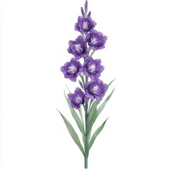 Fototapeta premium A tall purple flower with multiple blooms and green leaves, showcasing vibrant petals and a graceful stem.