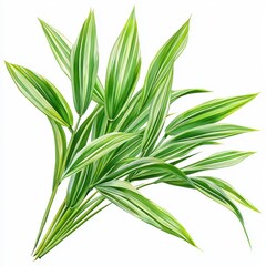 Obraz premium A vibrant illustration of green, elongated leaves with striking stripes, showcasing nature's beauty and freshness.