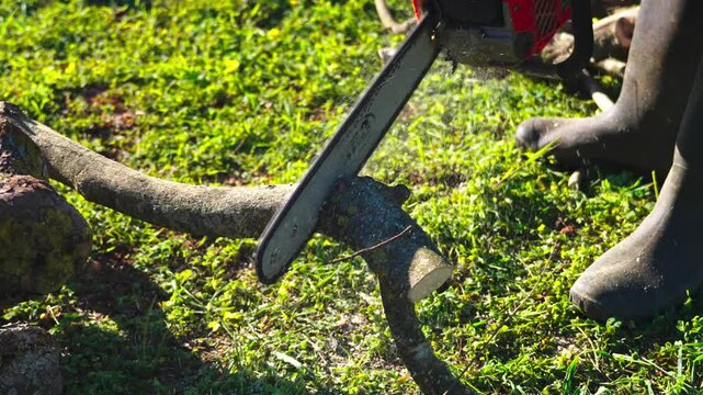 Chainsaw cutting wood. Man carving wood with a elettric saw.