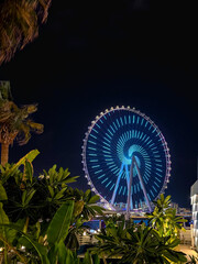 ferris wheel at night in Dubai 
