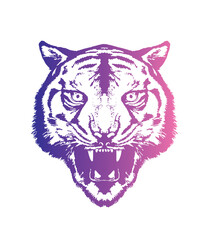 Evil tiger head. Original vector illustration in vintage style. T-shirt design.