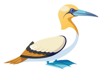 gannet-on-white-background.eps
