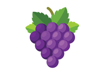 grape-juice--on-white-background (1).eps