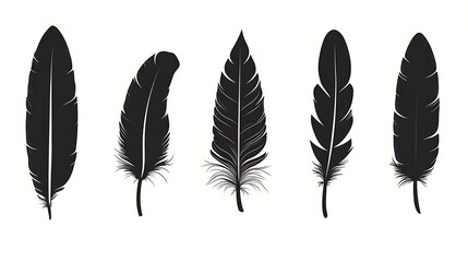 Feather icons. Set of black feather icons isolated. Feather silhouettes.with white background