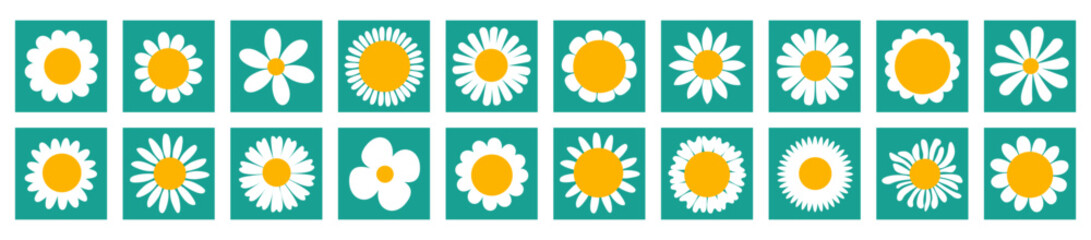 Chamomiles. White Daisy Flowers. Cute round flower shapes in square icons. Growing concept. Love card. Cute flower plant collection. Flat Vector illustration Isolated