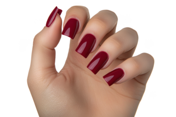 Womans hand with freshly done red nails on white background