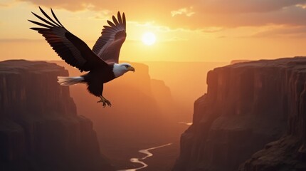 Majestic Eagle Sunrise Canyon Soar