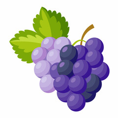 Fresh Grape Illustrations for Creative Projects