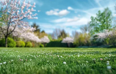 Fototapete A vibrant spring scene featuring lush green grass, blooming trees, and a clear blue sky, evoking tranquility and natural beauty. © Eyepain