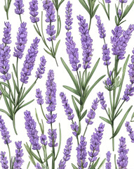 Obraz premium lavender flower in vector art style, created by generative AI