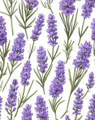 Fototapeta premium lavender flower in vector art style, created by generative AI