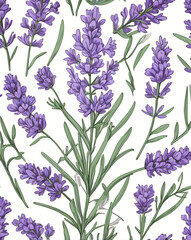 lavender flower in vector art style, created by generative AI