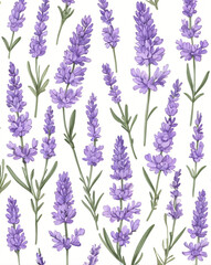 lavender flower in vector art style, created by generative AI