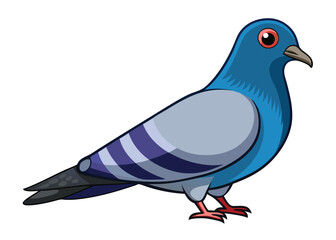 Pigeon