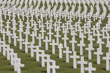Fototapeta premium white crosses on a american cemetery in Belgium