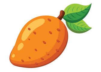 illustration of orange fruit