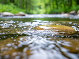 Fototapeta premium A rock in the middle of a stream in the woods