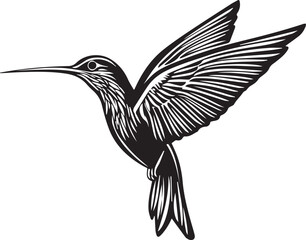 Obraz premium Silhouette of a hummingbird in flight graphic vector on white background