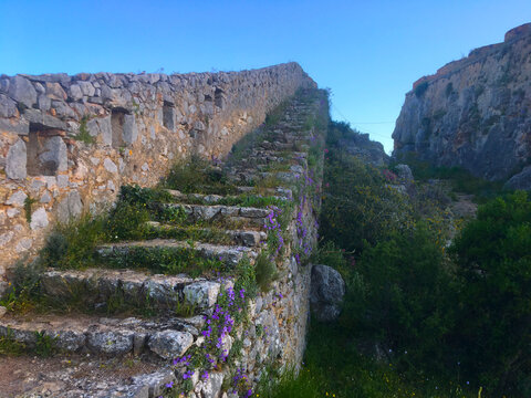 Up the stone stairs. Old stairs covered with moss and grass.