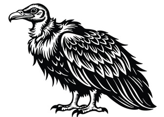vulture-on-white-background.eps