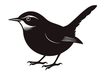 illustration of a bird