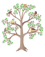 Birds living on a large, flowering, spring tree - vector full color picture. Birds in nests, sit and hatch eggs, feed the chicks and sing a flock of small birds settled in the branches of a tree.	