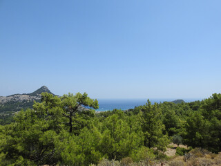 Obraz premium Wald und Bergflanke oberhalb der Küste von Rhodos