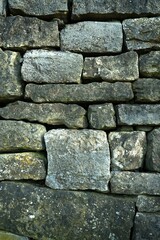 Rustikale Trockenmauer bedeckt mit grünem Efeu. Natürliche Textur und Struktur, ideal als Hintergrund für Präsentationen, Werbung und Banner. Schöne Verbindung von Natur und Architektur