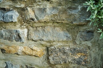 Rustikale Trockenmauer bedeckt mit grünem Efeu. Natürliche Textur und Struktur, ideal als Hintergrund für Präsentationen, Werbung und Banner. Schöne Verbindung von Natur und Architektur