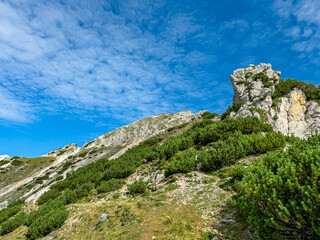 Scenic view of majestic mountain peak Jof Miezegnot, pristine Julian Alps, Friuli Venezia Giulia, Italy. Seen from idyllic alp Somdogna surrounded by alpine meadows and coniferous forest. Tranquility